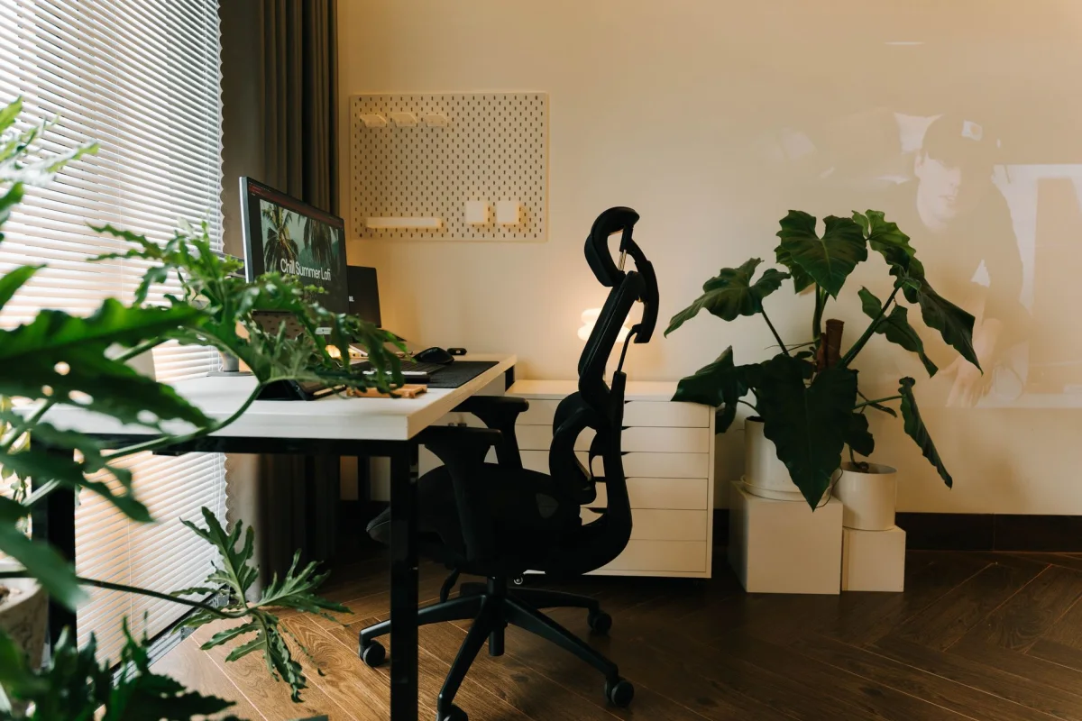 B&f Contabilidade