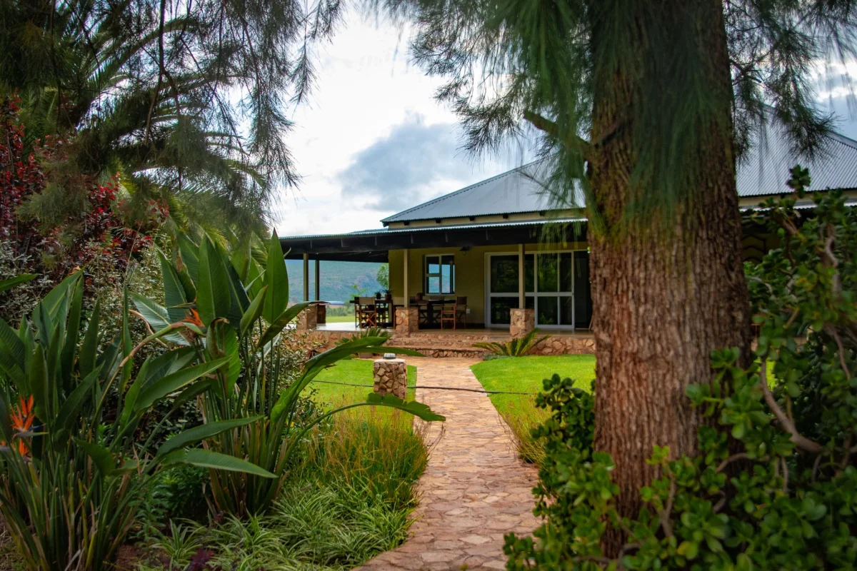 Forest Hotel